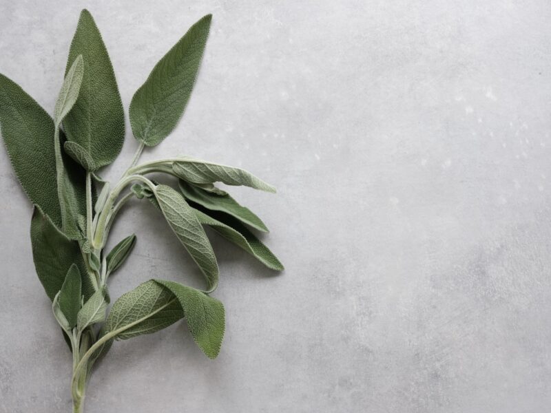 5 Must-Have Italian Spices for Delicious and Authentic Dishes